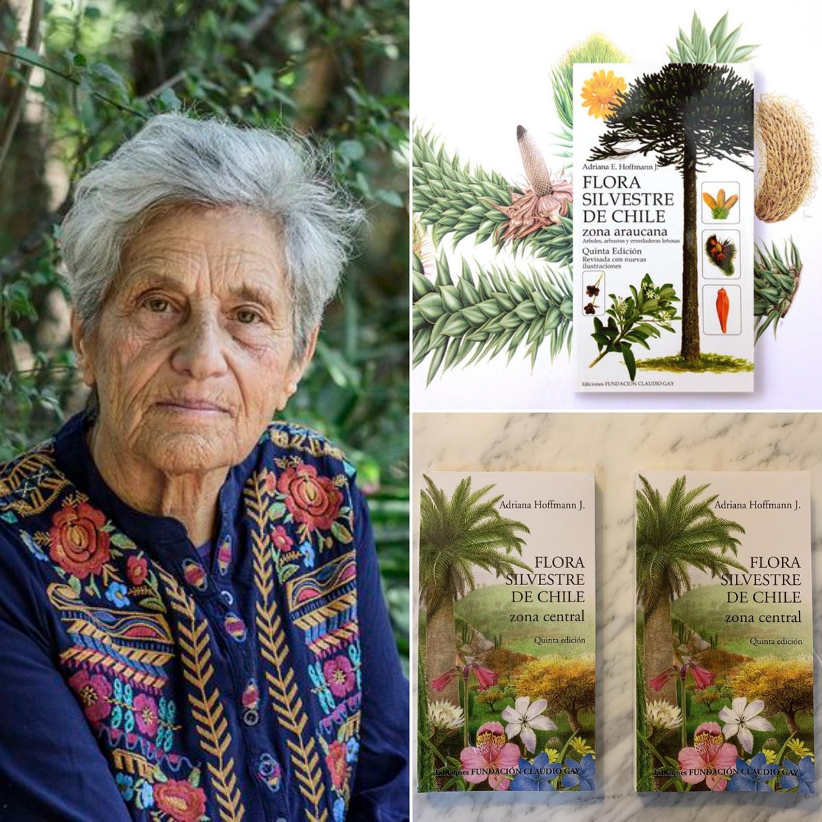 Adriana Hoffmann nos ha dejado. Pero, nos ha dejado un legado demasiado importante que proteger: nuestra flora nativa! Ella plasmó todo su conocimiento en hermosos libros ilustrados de botánica de Chile. Ojalá todos los hogares tuvieran un libro de ella. Hasta pronto profesora