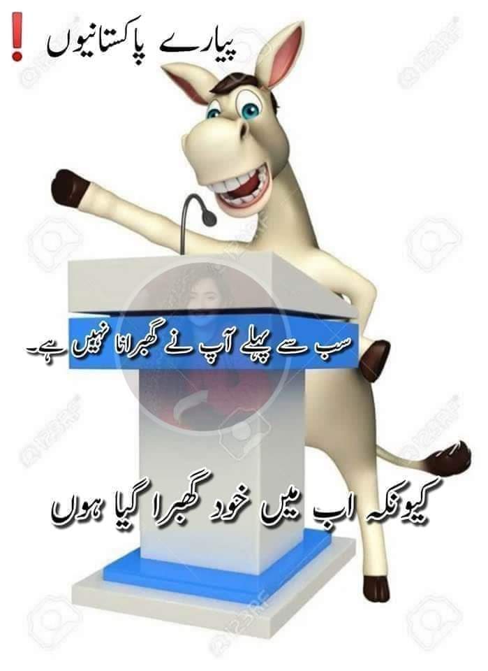 YousafShadab's tweet photo. @SABIR_SULT https://t.co/riB2KjmjI1