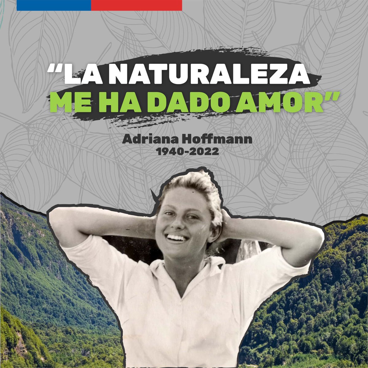 Hoy lamentamos la partida de la ex directora de Conama y pionera en educación ambiental, Adriana Hoffmann. Agradecemos su amor a la naturaleza, por defender los bosques nativos, y enseñarnos sobre la importancia de la biodiversidad para la vida en los territorios.