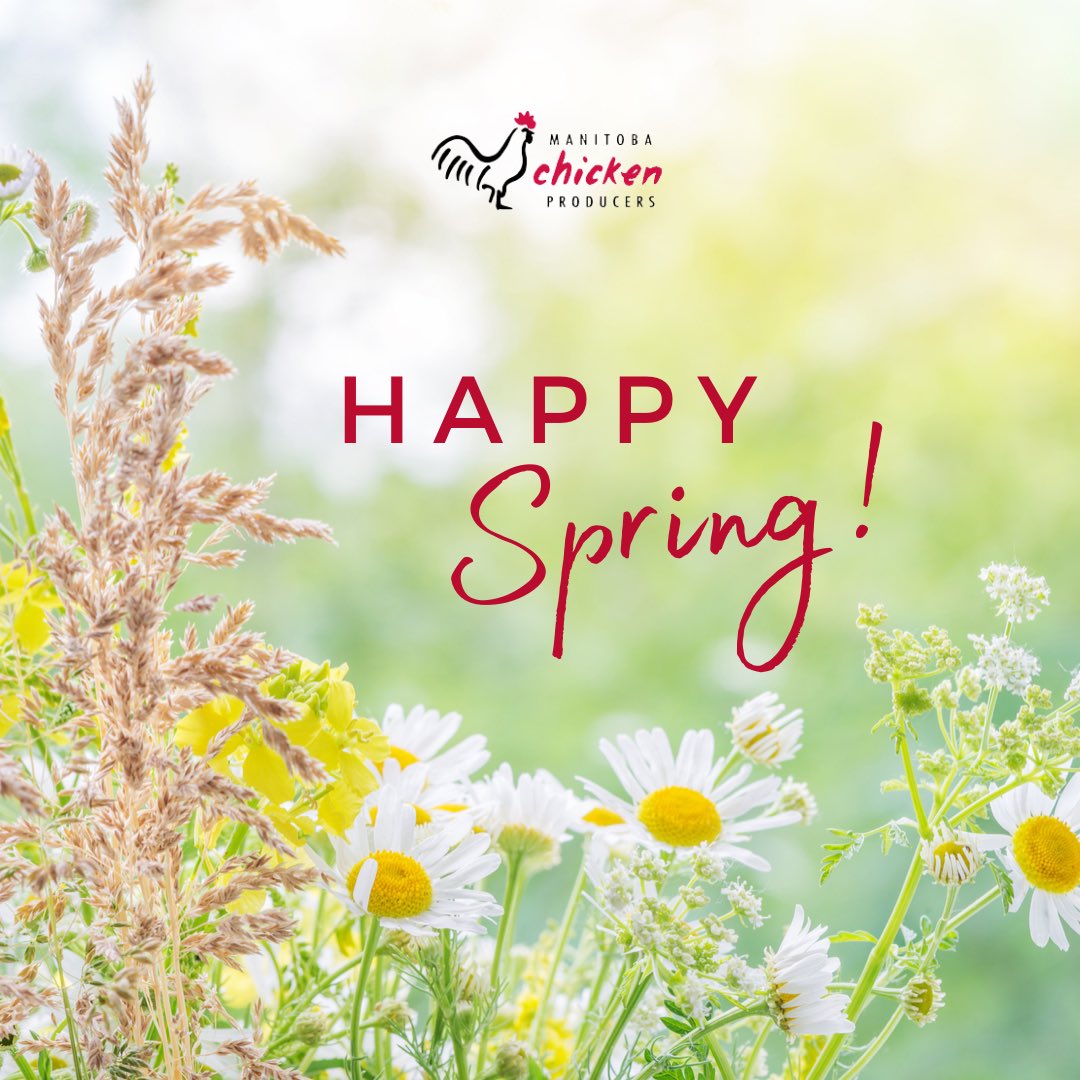 manitobachicken's tweet image. “The promise of spring’s arrival is enough to get anyone through the bitter winter.”

Happy first day of spring! 🌸 

.
.
.
.
#springquotes #happyspring #springequinox