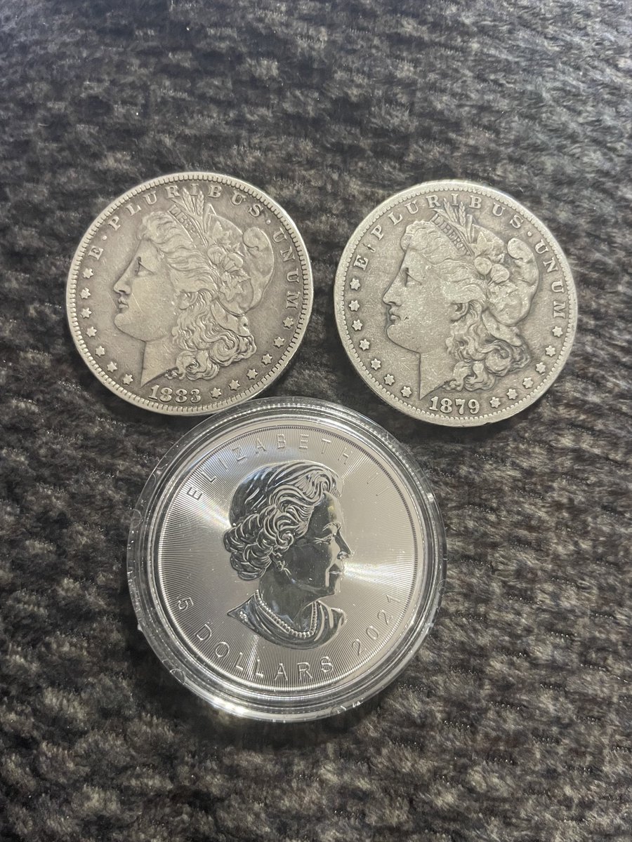 Cardinals1942's tweet photo. Picked up a couple Morgan Silver Dollars and a Canadian Maple 🍁 Leaf at the annual coin show today.
#Silverstacker #LannyLovesHashtags
#MorganDollars https://t.co/QVXK2HbvG4
