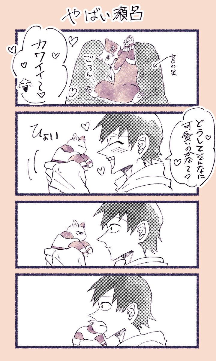 🍊🍰🐱