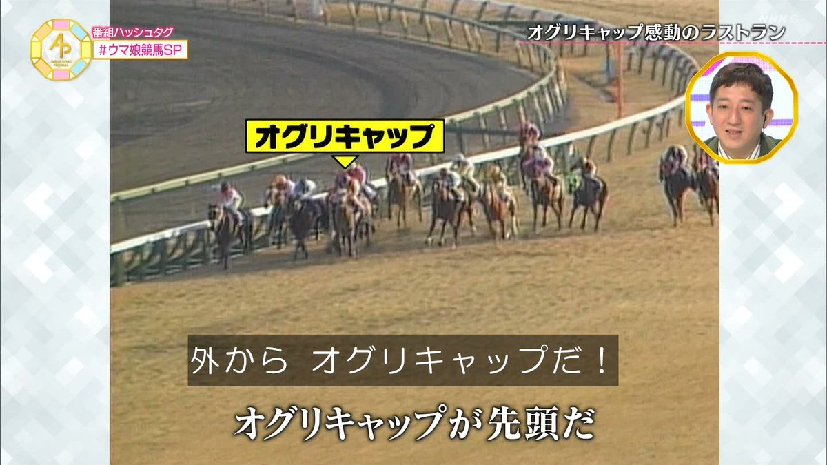 マリナボーダー 値下げ!オグリキャップ 武豊騎手有馬記念優勝