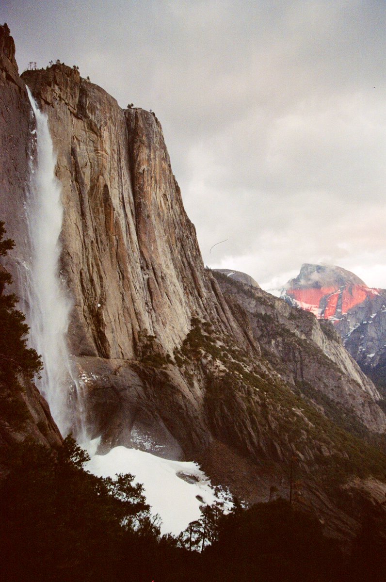 Portra Papi tweet media