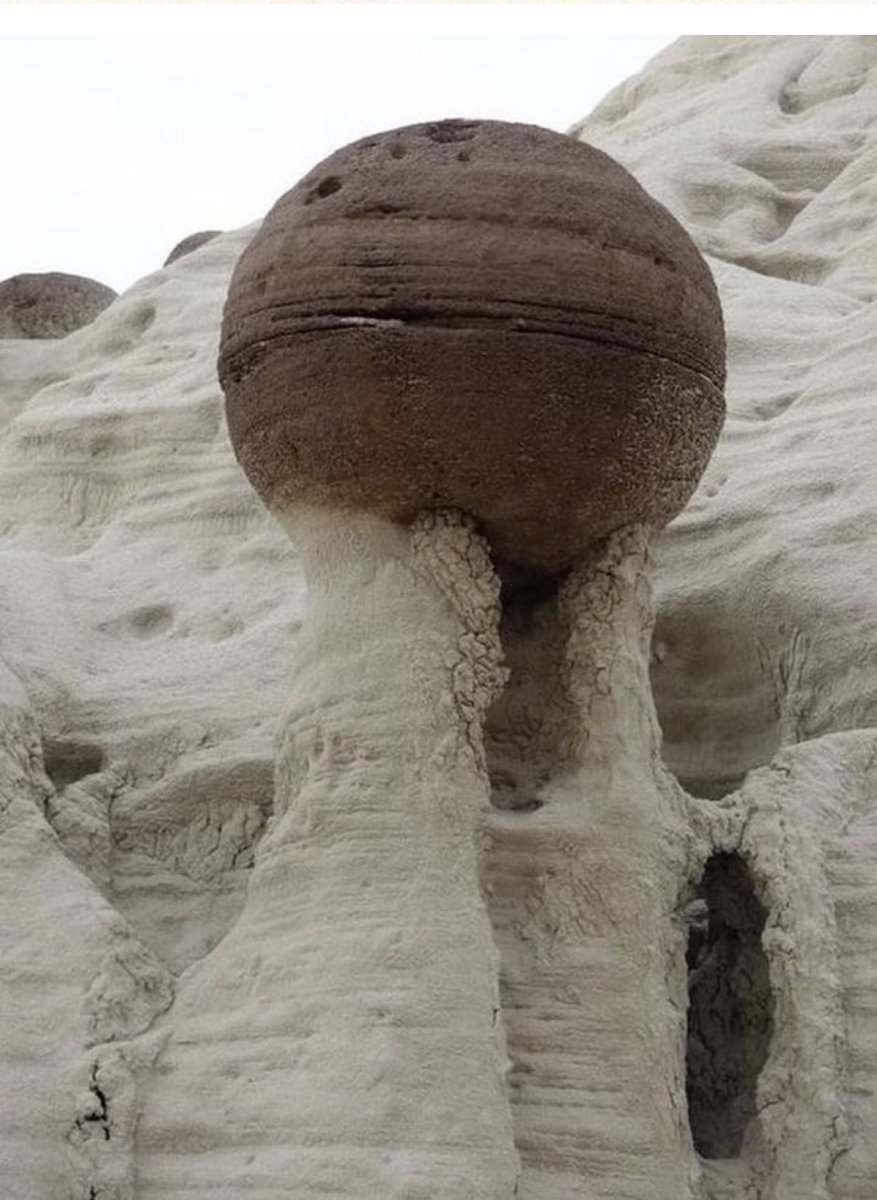 Brian Roemmele tweet media