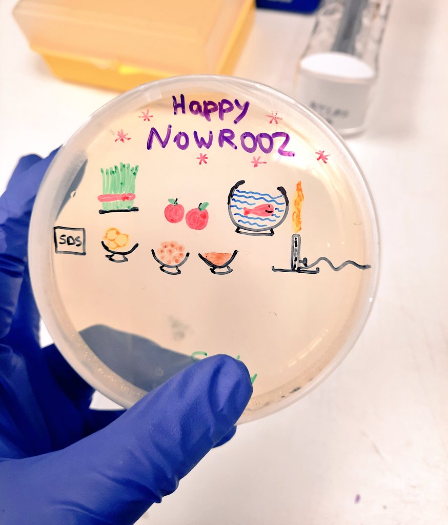 When you have to spend Nowrooz in the lab because research doesn't stop! #nowrooz #persiannewyear #research #qub #thisexperimentbetterwork