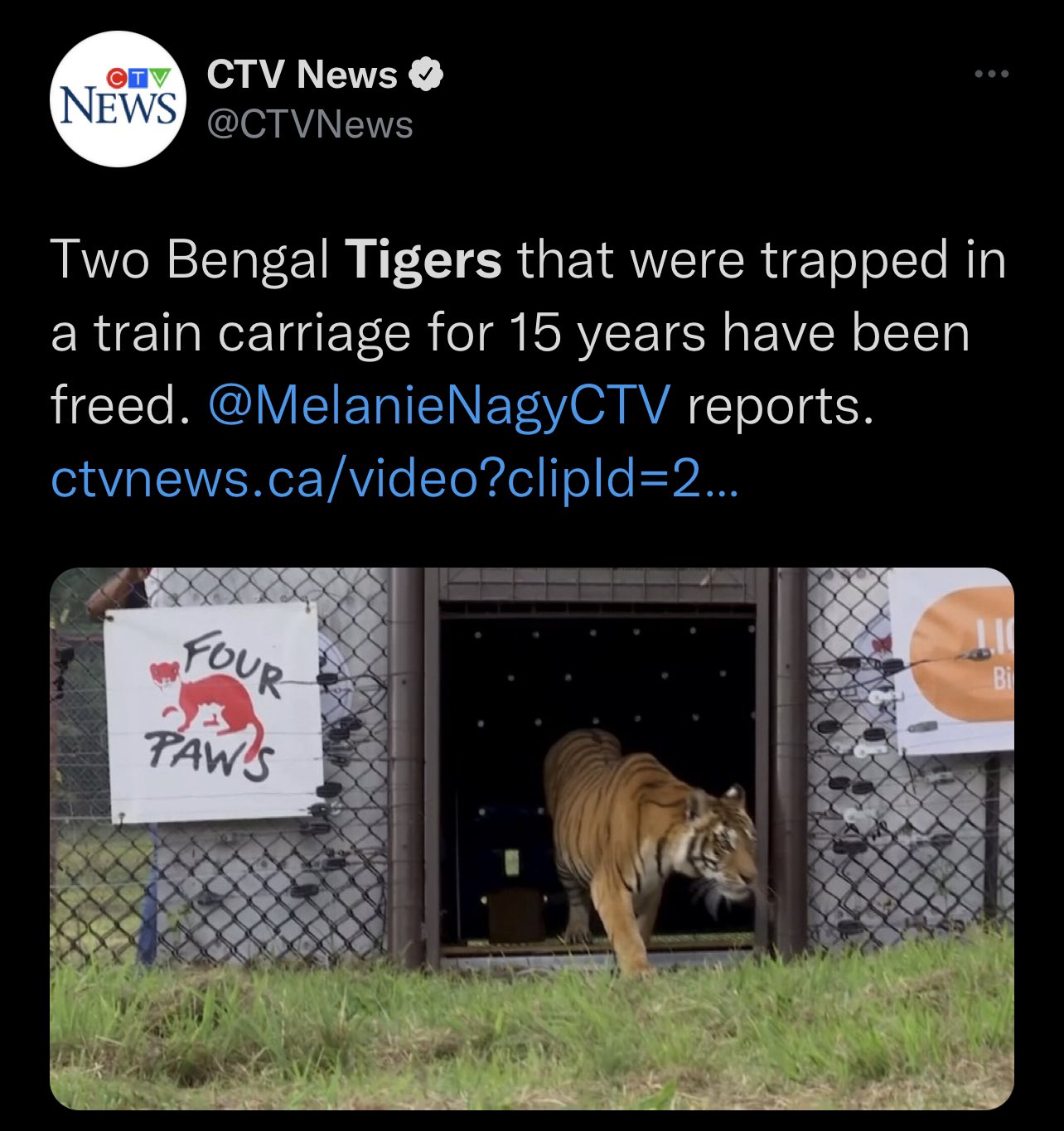 Woodward Sports Network on Twitter: "News of more liberated Tigers
