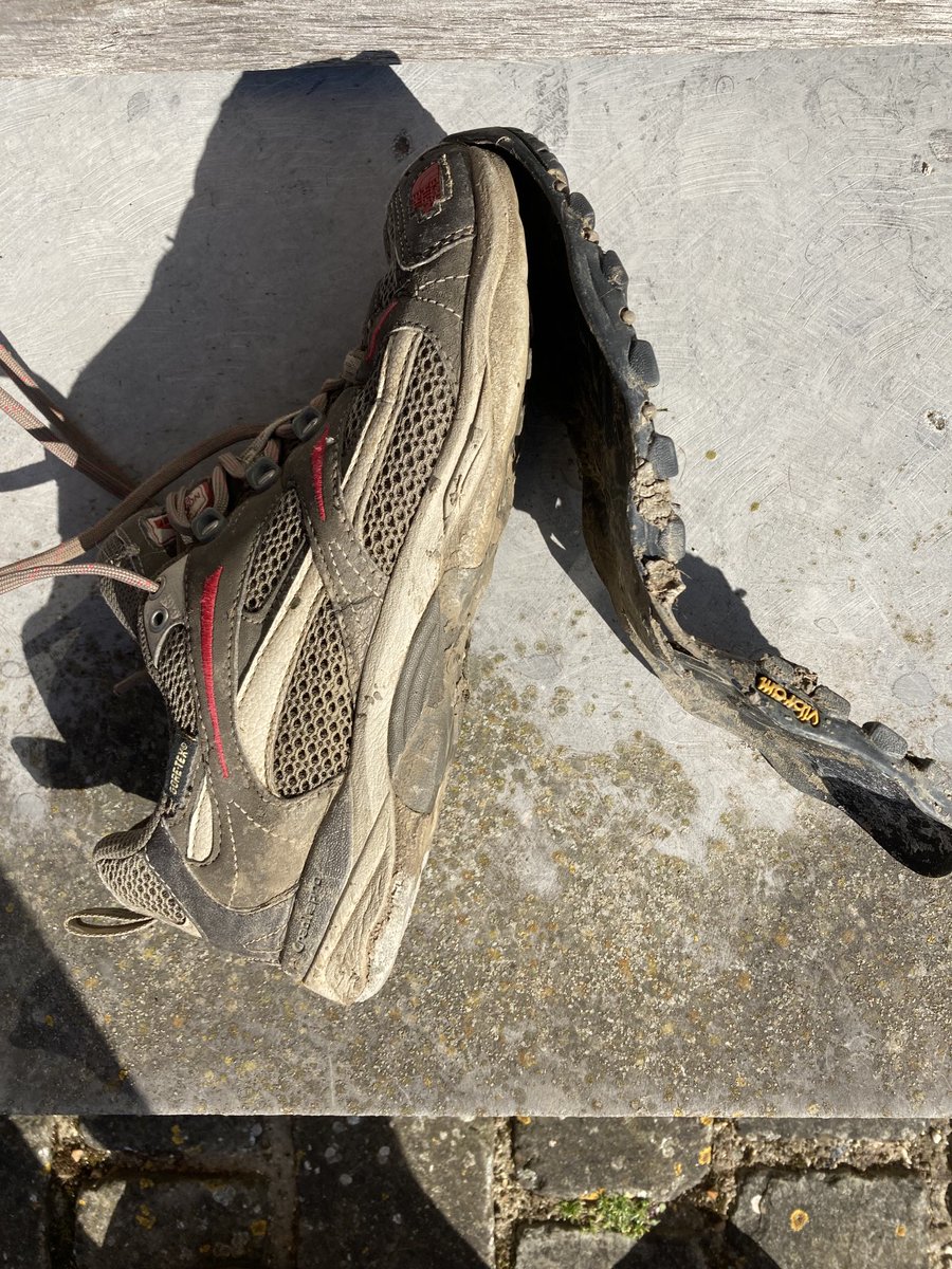 Deborah Meaden 🇺🇦 tweet media