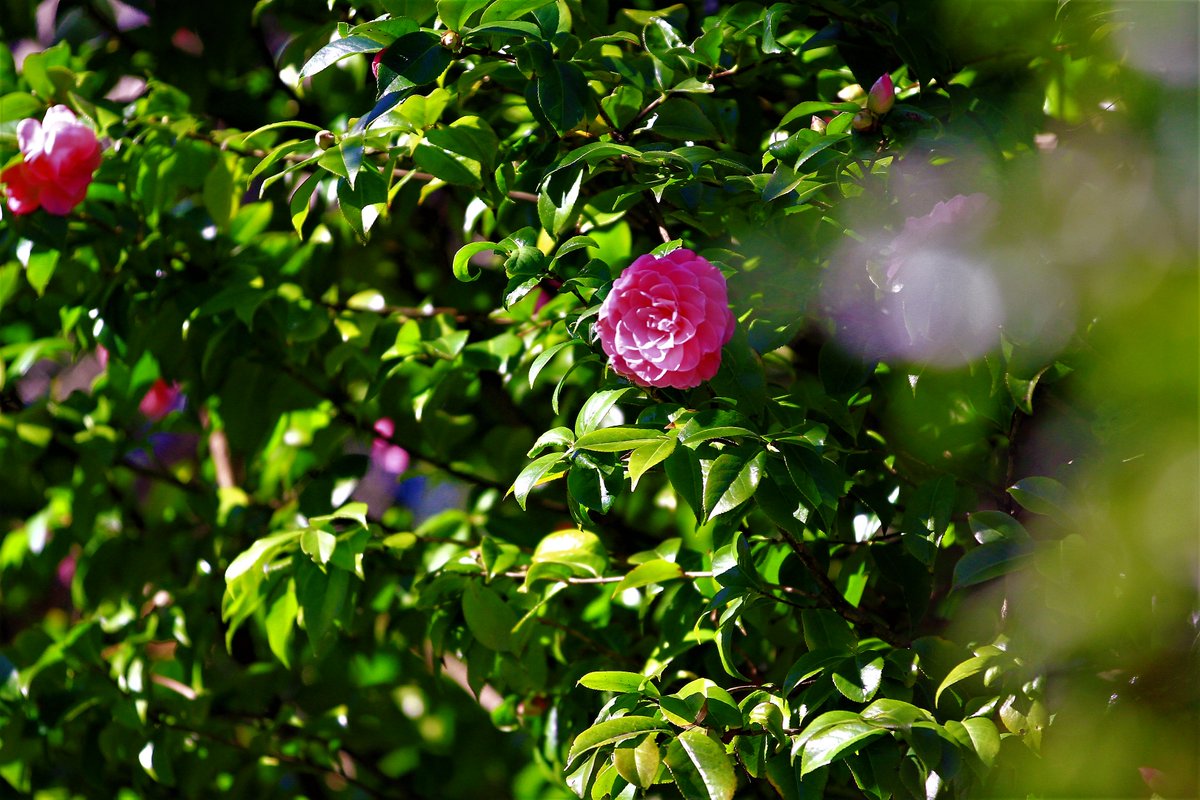 This spring is more important than ever for hope.