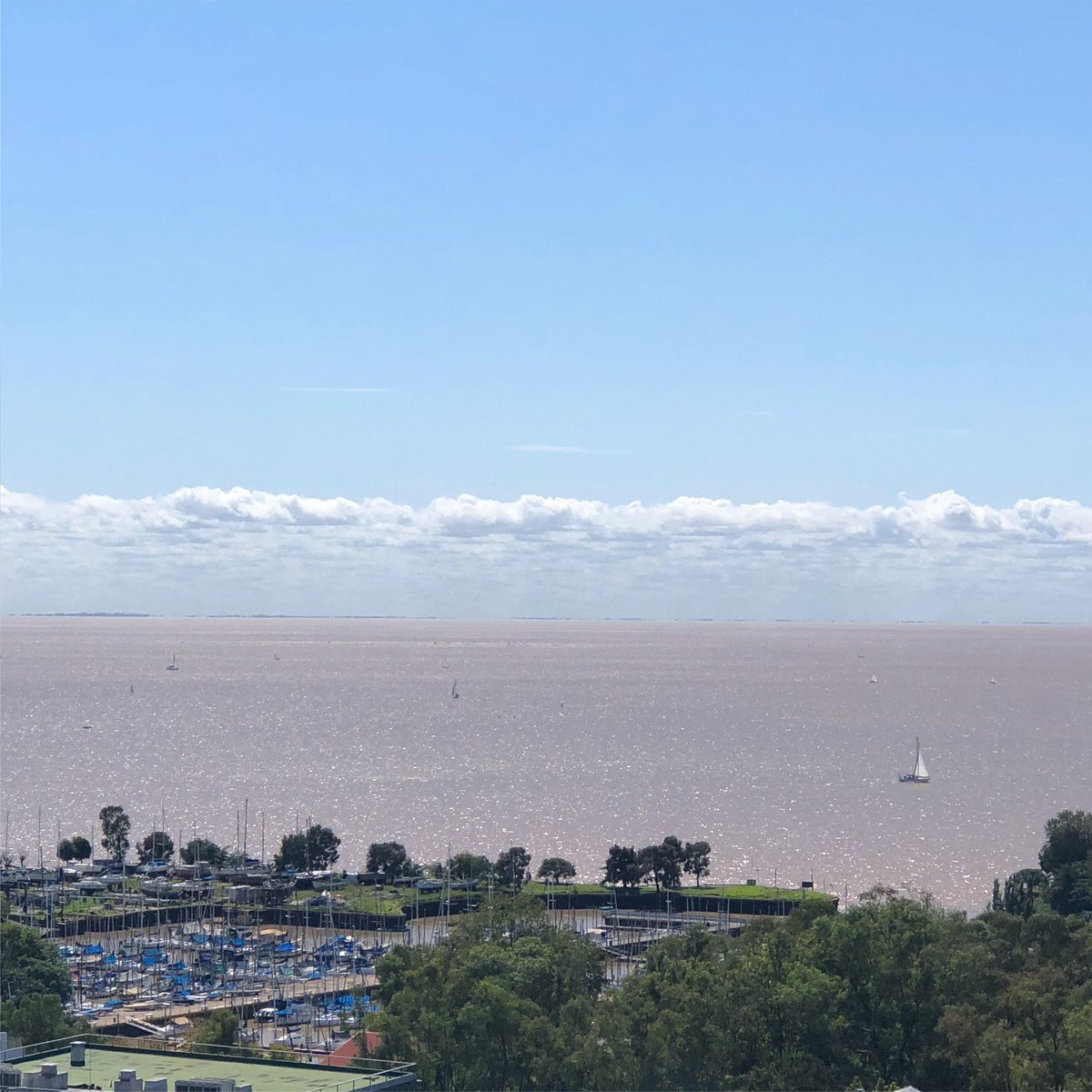 SashaDixit's tweet photo. El puerto de Olivos 😍🥰
#FelizDomingo #rio 
#vtelopez https://t.co/z9js82aGvk