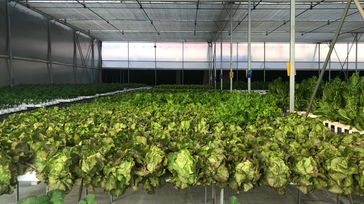 SirCasstic tweet media