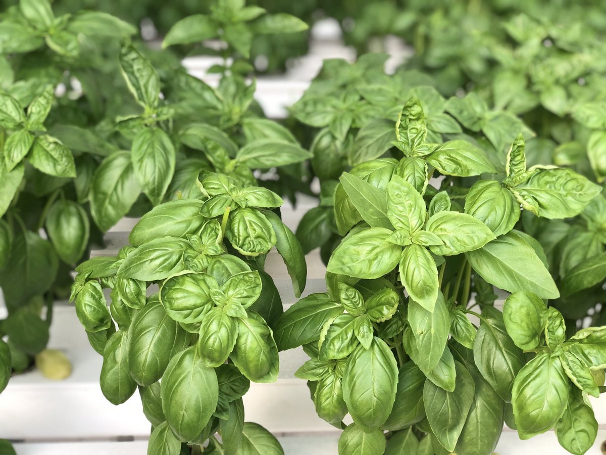 SirCasstic tweet media