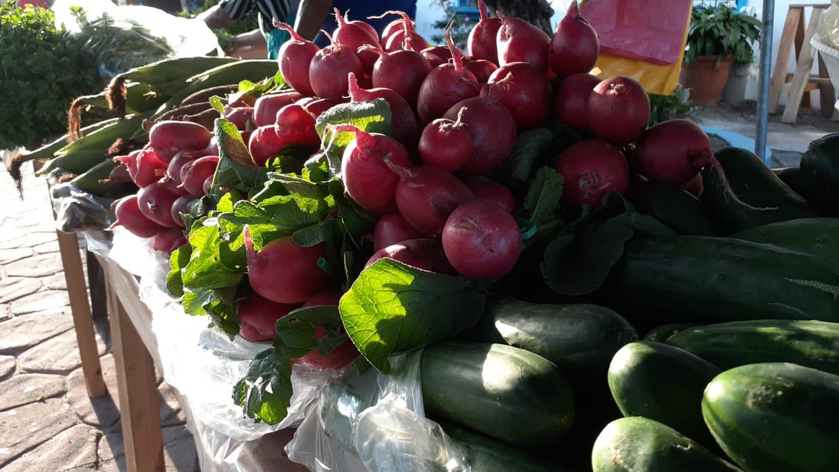 SantoTomassv's tweet photo. Visita hoy nuestro agromercado 🥬🥒🍅🥕

Donde podrás encontrar verdura, fruta y productos frescos y de calidad, cosechados y elaborados por nuestros agricultores y emprendedores de Santo Tomás. 

📍Plaza Pública Teodoro Alvarenga, frente a alcaldía municipal. https://t.co/scl6FS2joh