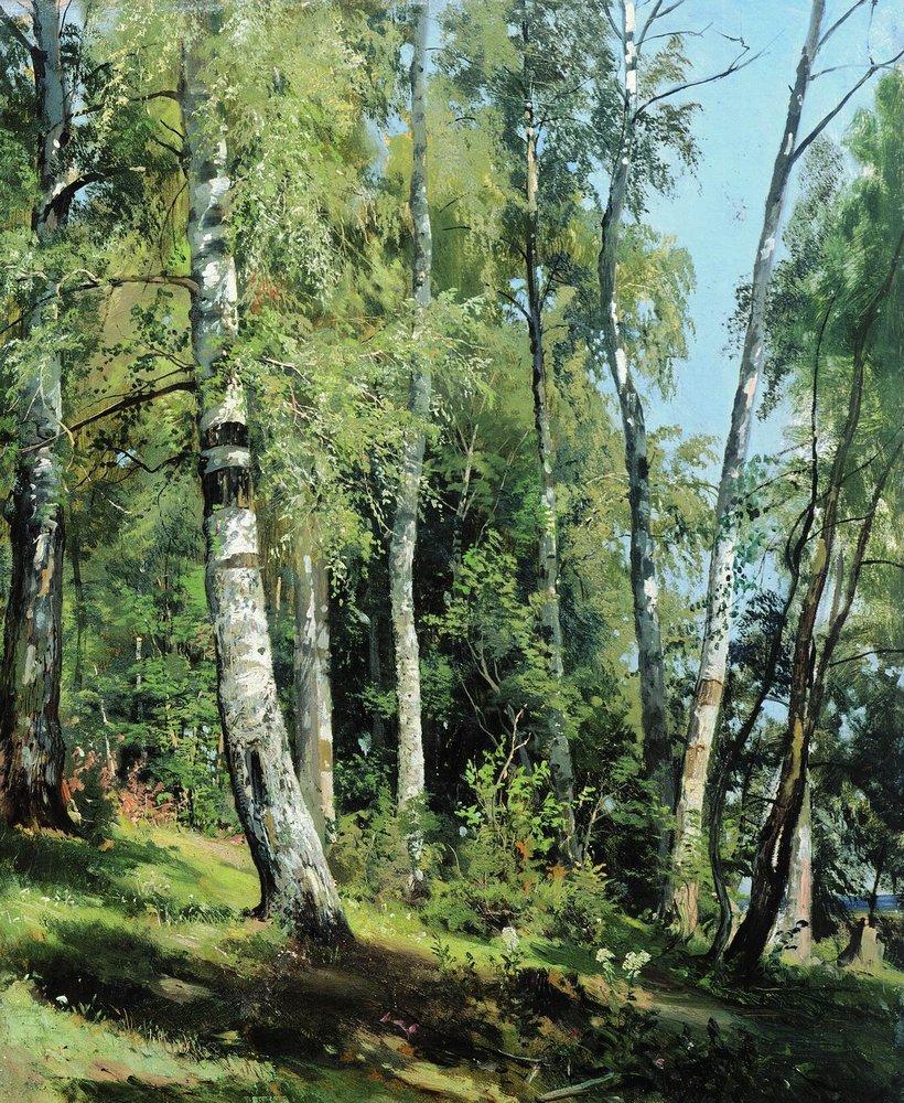 artistshishkin's tweet photo. Birch Grove, 1896 #shishkin #ivanshishkin https://t.co/9BIjgkpStY