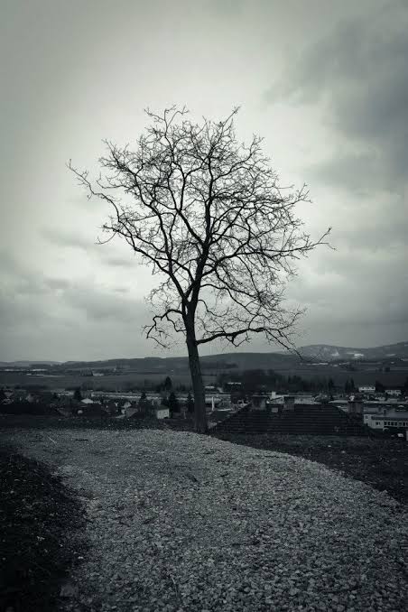 Toey697's tweet image. อยู่คนเดียว จนเริ่มชิน