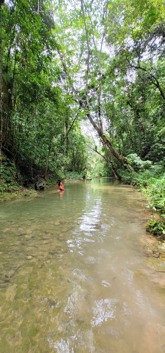 Have a blessed Sunday