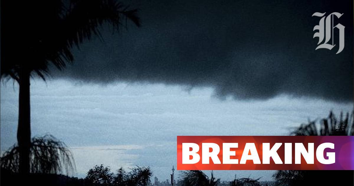 nzherald tweet media