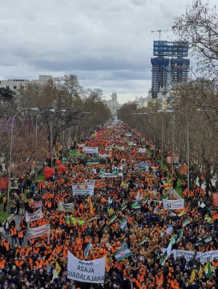 PeredaDehesilla's tweet photo. 👏 Enhorabuena a todos por el gran éxito de la manifestación #20MRural, donde el mundo del 🐂 toro también ha arrimado el hombro para defender el 🌳 campo y nuestras tradiciones https://t.co/DwelArvbxc