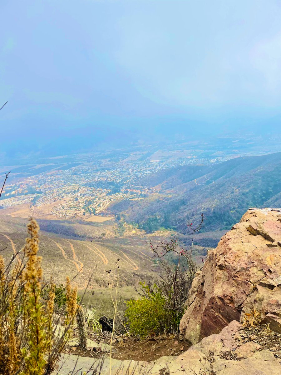 Xn3o1710's tweet photo. “La soledad es peligrosa es adictiva,
Una vez que te das cuenta de cuanta
paz hay en ella, no quieres tratar con
las personas”
#EnLasAlturas
#trekking 😎 https://t.co/yD6Gu8i8kX