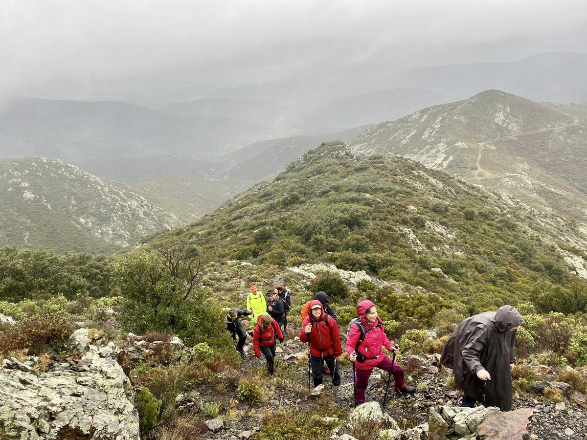 CabirolsRoses's tweet photo. Fantàstica sortida la que hem fet avui al Puig de la Calma i Coll de Banyuls…☔️☔️
#CabirolsRoses #ElsCabirolsMolen #OrgullDeClubCabirols #ExcursionismeCatala
#SortidesCabirols2022 https://t.co/9F6q2zK1Aj