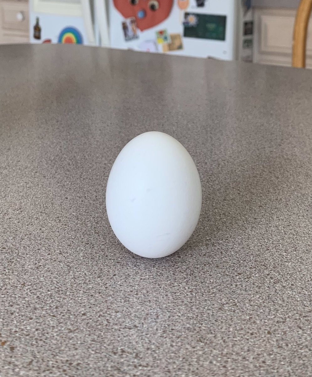 afbookmark's tweet image. #HappySpring! According to folklore, you can stand a raw egg on its end on the Spring equinox. This has delighted me since my childhood … pure FUN at its best with perhaps a broken egg here or there. Can you do it?! #FolkloreFun #SpringEquinox #Eggs #BalancingAct