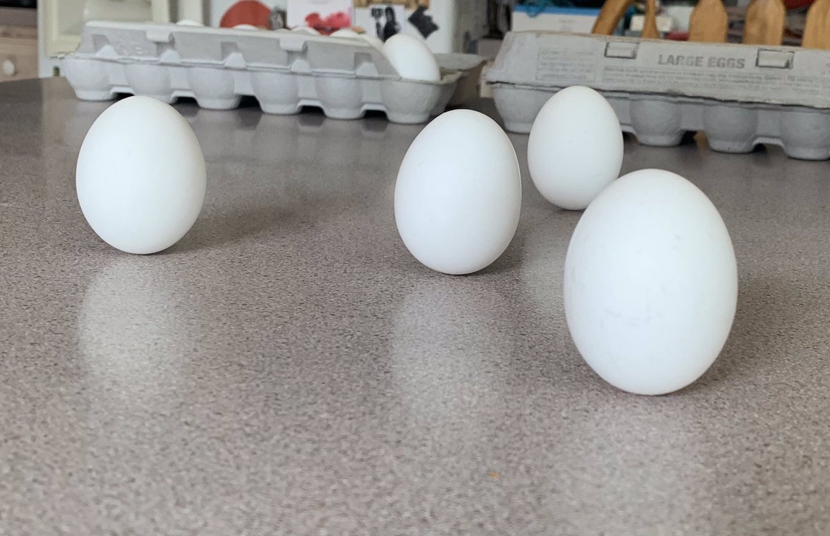 afbookmark's tweet image. #HappySpring! According to folklore, you can stand a raw egg on its end on the Spring equinox. This has delighted me since my childhood … pure FUN at its best with perhaps a broken egg here or there. Can you do it?! #FolkloreFun #SpringEquinox #Eggs #BalancingAct