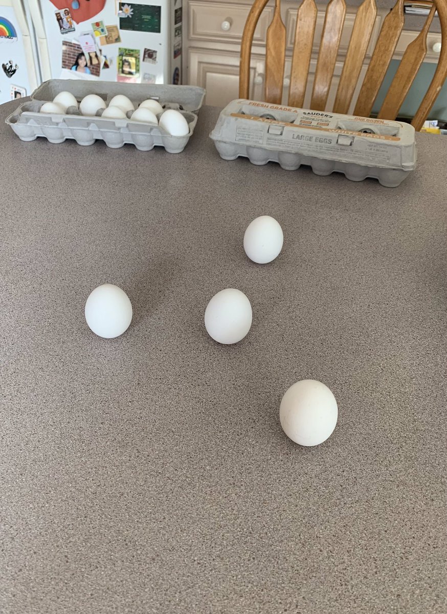afbookmark's tweet image. #HappySpring! According to folklore, you can stand a raw egg on its end on the Spring equinox. This has delighted me since my childhood … pure FUN at its best with perhaps a broken egg here or there. Can you do it?! #FolkloreFun #SpringEquinox #Eggs #BalancingAct