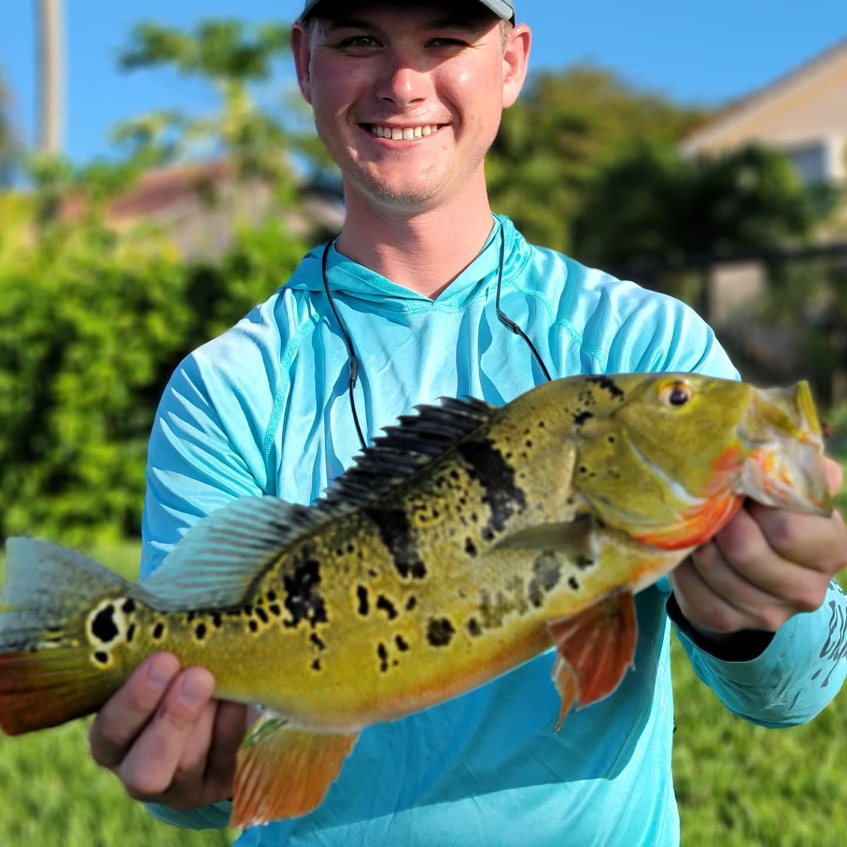 NicholasBeltr17's tweet photo. Wow what a trip today showing @derekhornerfishing and his buddy Lou how it's done here in South Florida π π³ π had a blast great guys to fish with and it was pleasure to have put them on some fish π€π€ππ€π€
#anglr #anglrbullseye #peacockbassfishing https://t.co/5su1dIS38X