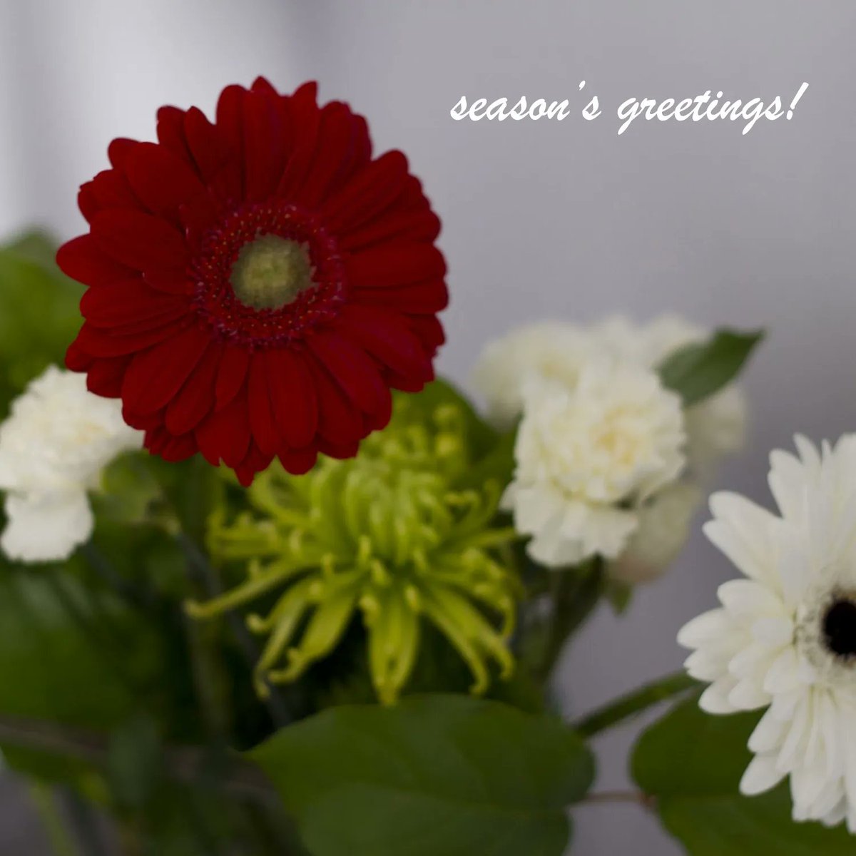 k2chats's tweet photo. Finally...Spring!

#seasonsgreetings #spring2022 #studiok2 #art #happythoughts https://t.co/ZiSyAVNsK8