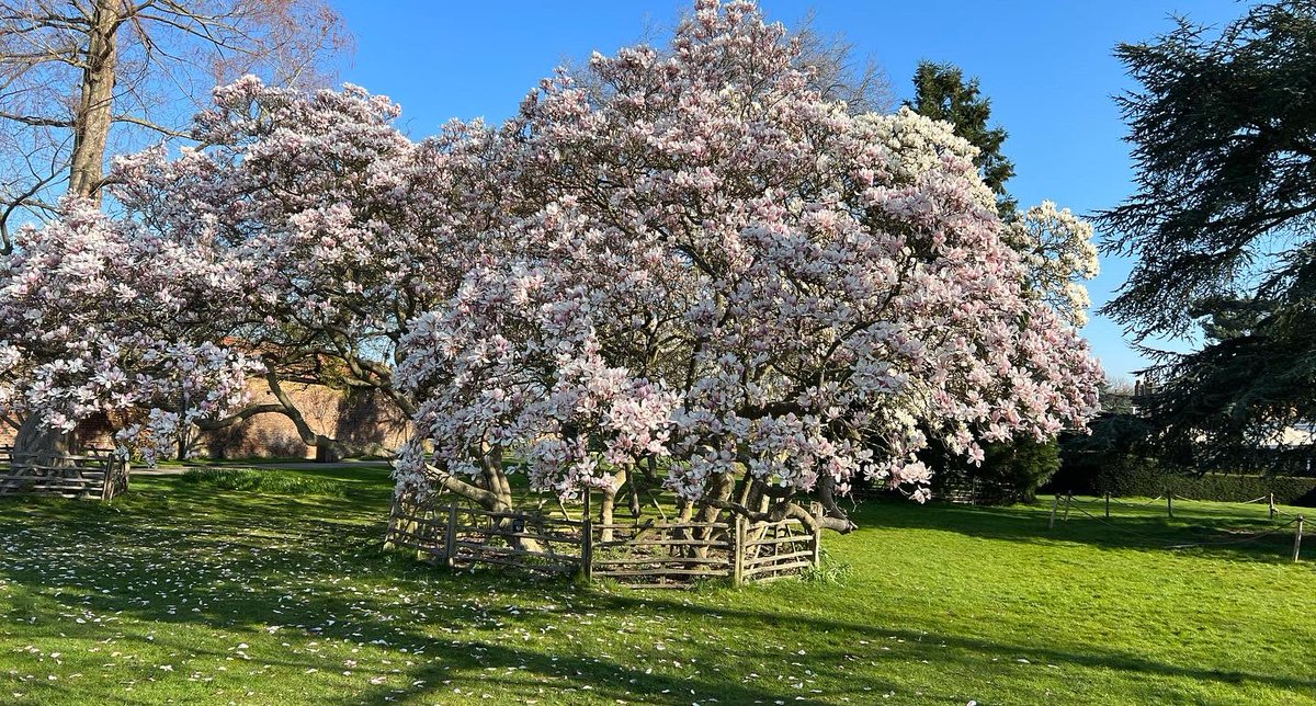 🤡🏃 NIKKI 🏃🤡 tweet media