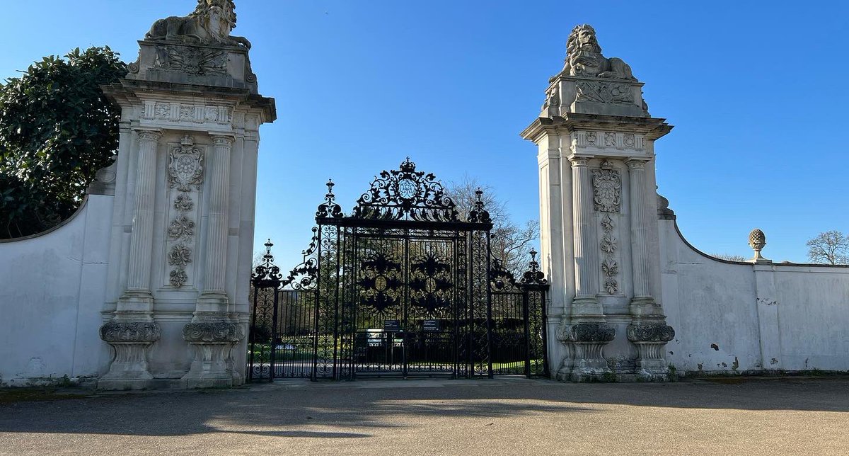 🤡🏃 NIKKI 🏃🤡 tweet media