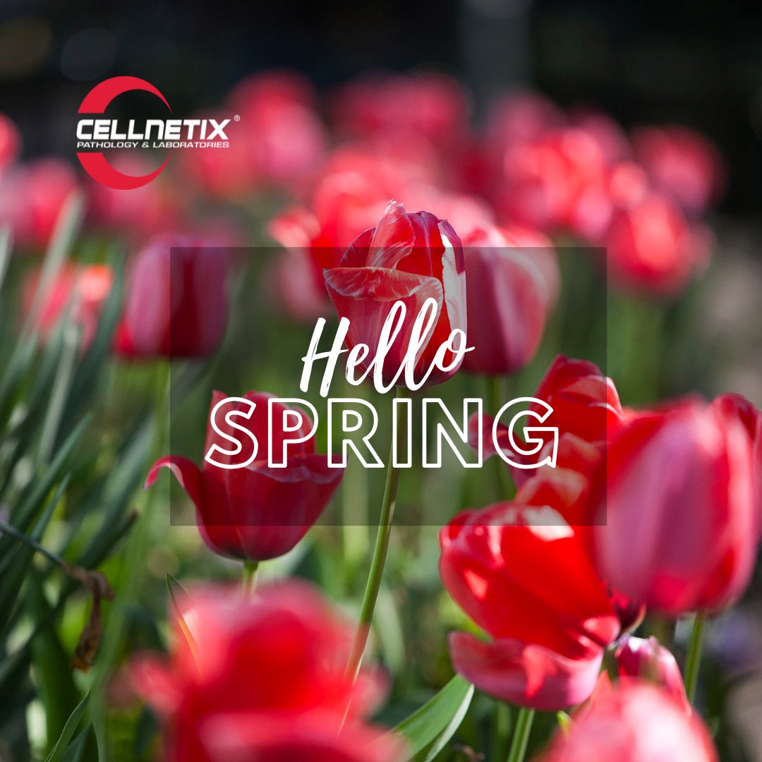 CellNetix on Twitter: 