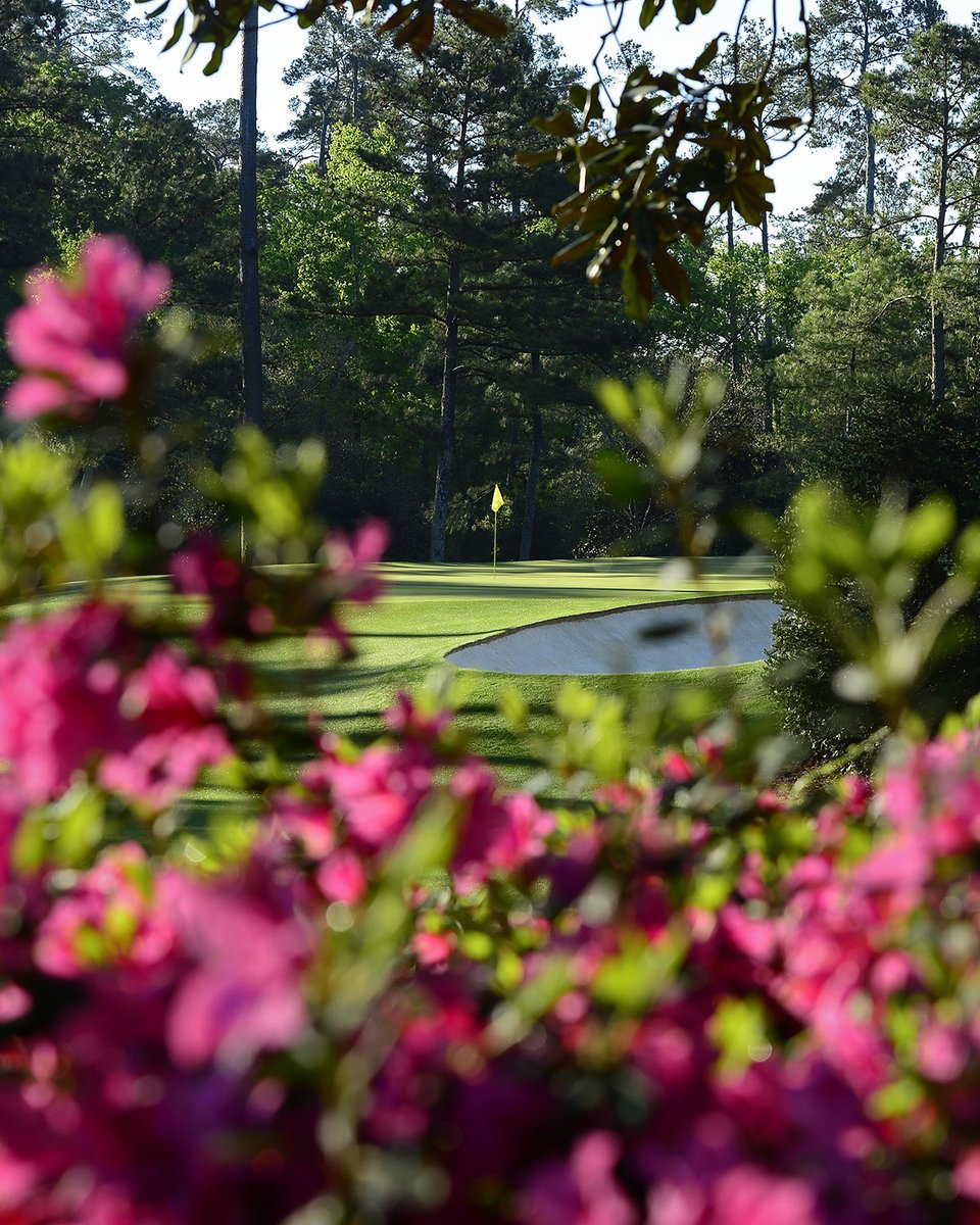 GOLF_com's tweet photo. Spring is here 🌸 https://t.co/33UsDZuOlt