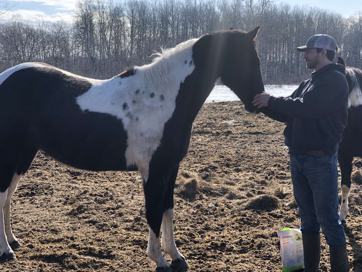 Al_Petersonn's tweet photo. Ain't tweeted in awhile so here's a picture of my new buddy https://t.co/kMPa4gB9JH