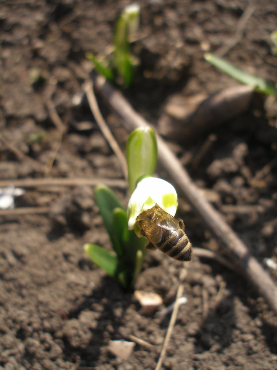 Коли після у Макдональдсу кортиться здорової їжі)