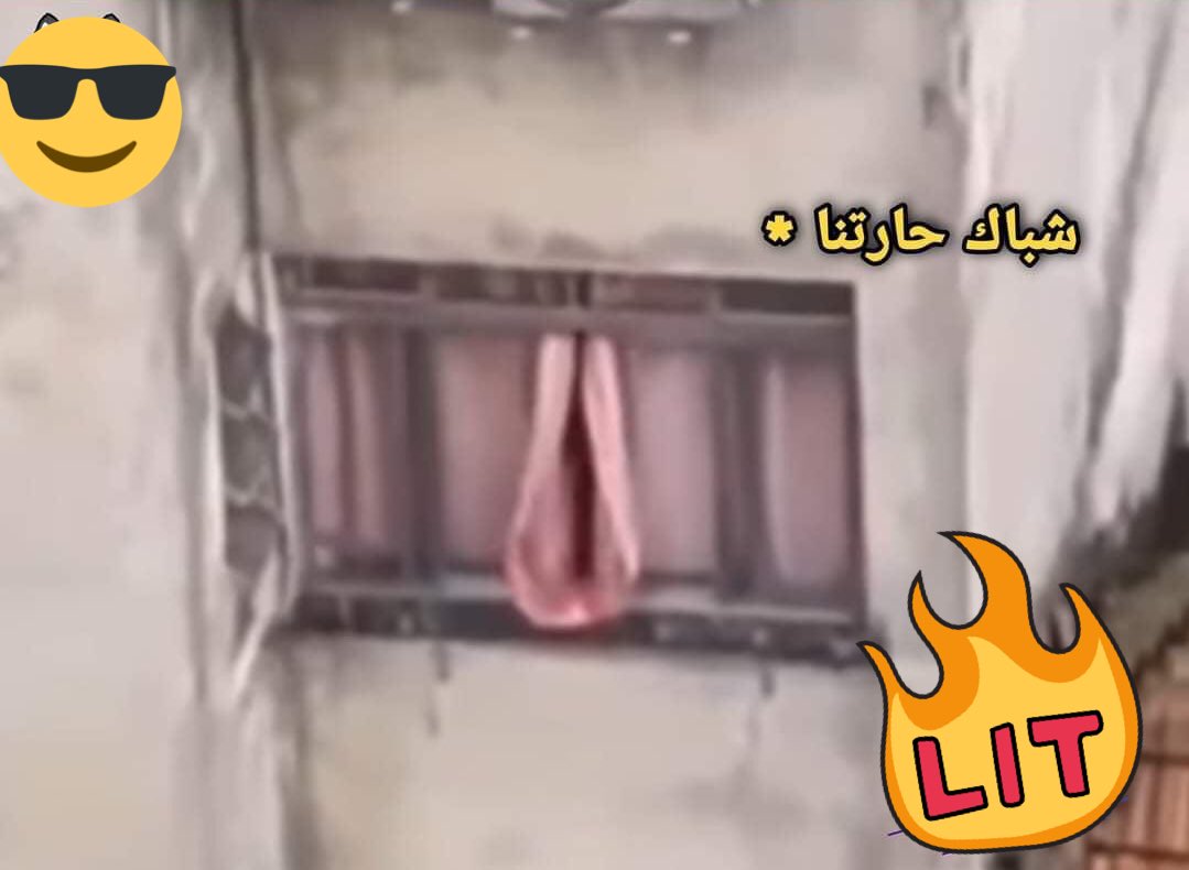 Ezzaat_'s tweet photo. حبيبتي افتحي شباكك انا جيت 😉 https://t.co/yPNlZk6rh9