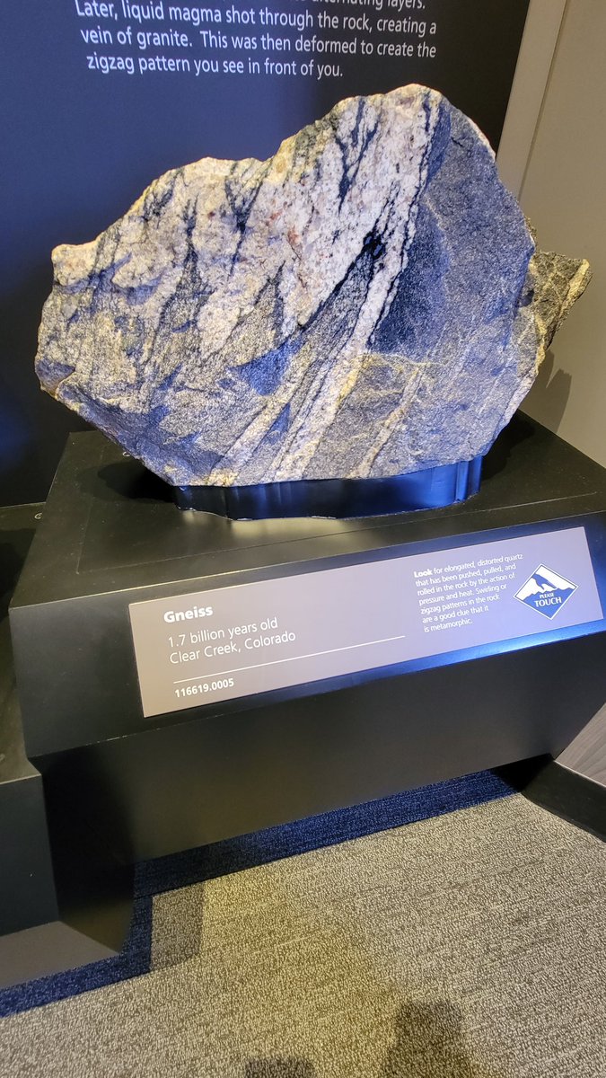 IntheMiddleMath's tweet image. It's so nice to see some gneiss!
#Smithsonian #geology #scienceeducation #STEMeducation