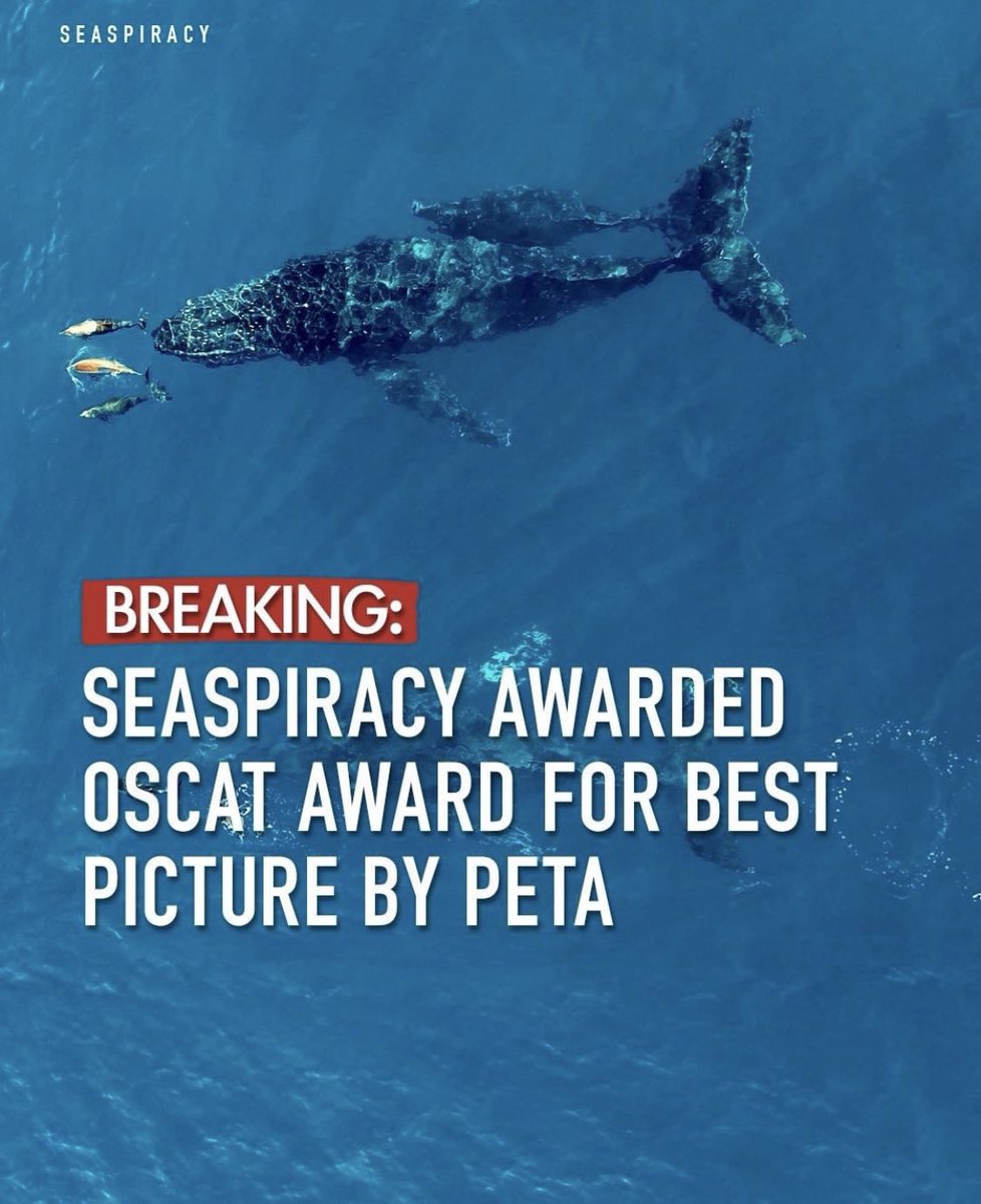 pro2tect's tweet photo. Huge congrats to @seaspiracy for winning the #OSCAT AWARD from @peta 🏆🥳🥳

We must build a connection to the ocean that is inclusive, innovative, and informed by lessons from the past. ♻️🌊

#savethereef #pro2tect #Peta #Seaspiracy #savetheocean https://t.co/JJgLoje1Q4