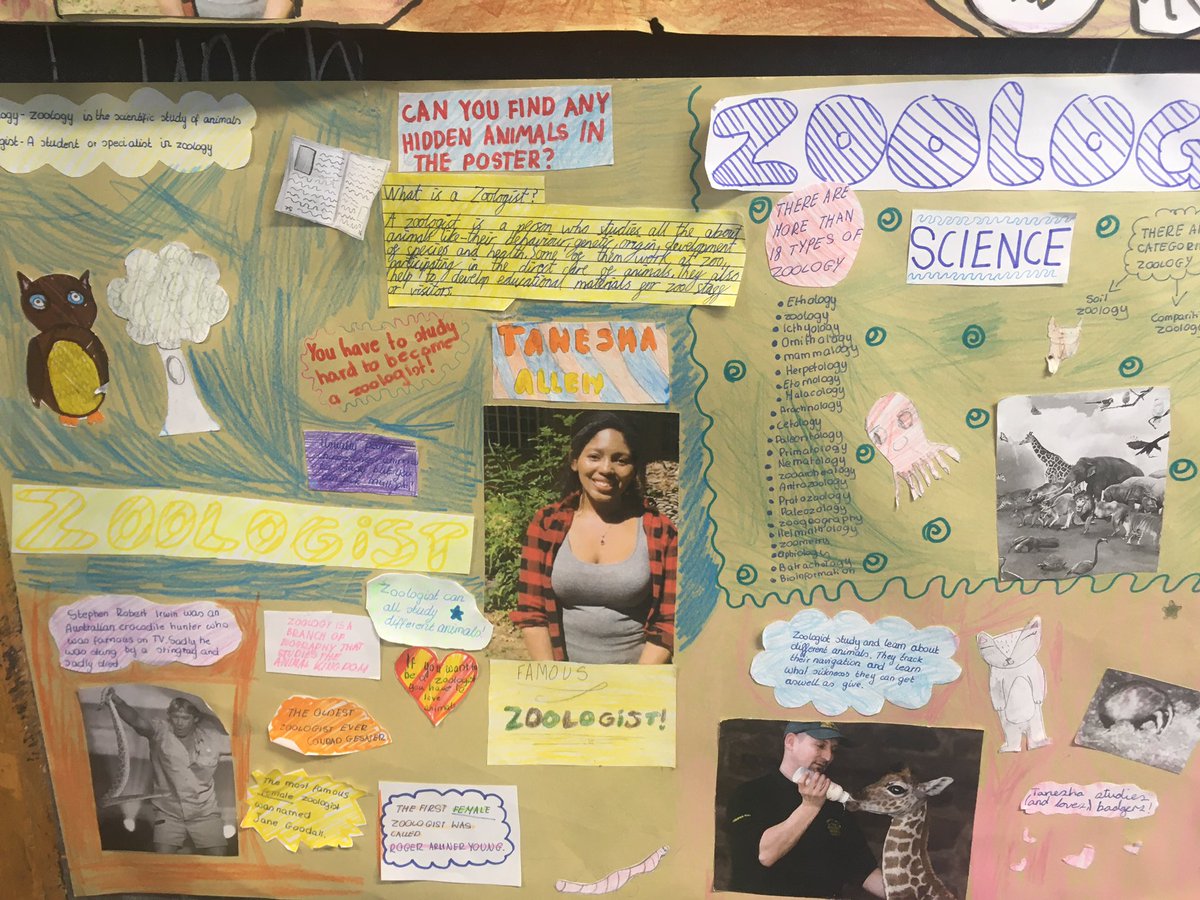TaneshaAllen16's tweet image. Last week was British Science Week, and I talked to a few classes in London about badgers 🦡🦡 These students even made some amazing posters about being a zoologist! @SehMiss #BritishScienceWeek2022
