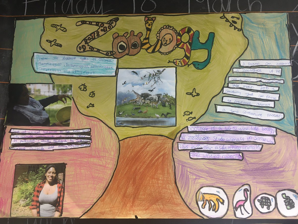 TaneshaAllen16's tweet image. Last week was British Science Week, and I talked to a few classes in London about badgers 🦡🦡 These students even made some amazing posters about being a zoologist! @SehMiss #BritishScienceWeek2022