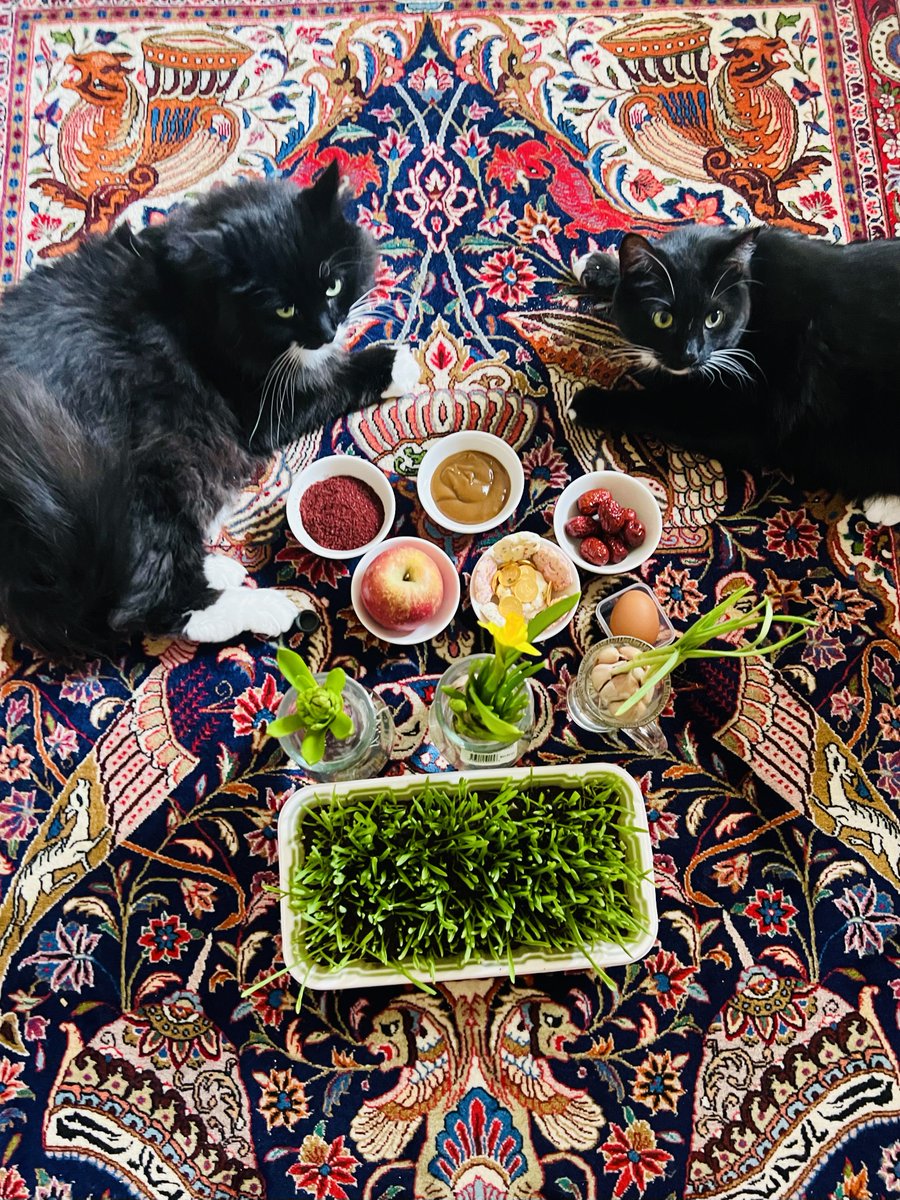 Happy #Nowruz from our family to yours! #PersianNewYear #Norooz #Norouz #HappyNowruz #SpringEquinox 🌱💐🐾🐾 https://t.co/G3ZfZ41qpa.