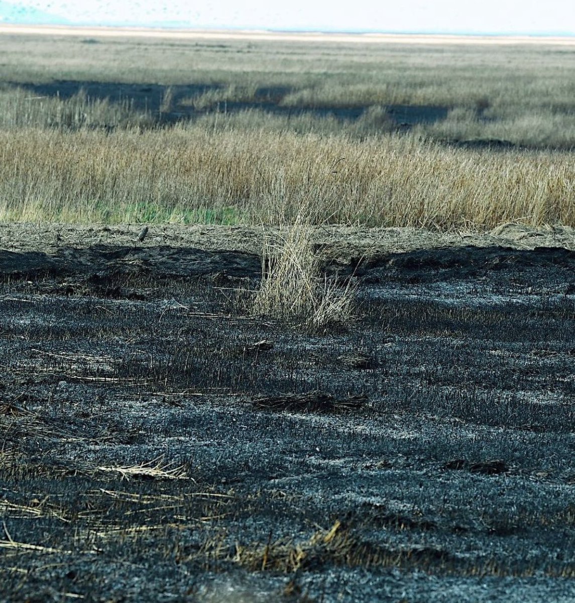 Pete Price tweet media