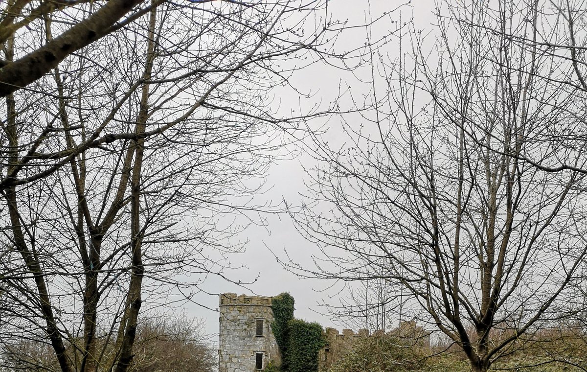 Masonbrook's tweet photo. Day 79 #100daysofwalking2022 #round2crew @NTBreakfast almost forgot to post again 🙈 lovely late evening walk before darkness fell, looking forward to the sunshine promised during the week ahead 🌞.. have a good week everyone 🚶‍♀️ https://t.co/DyMNIxCyIM