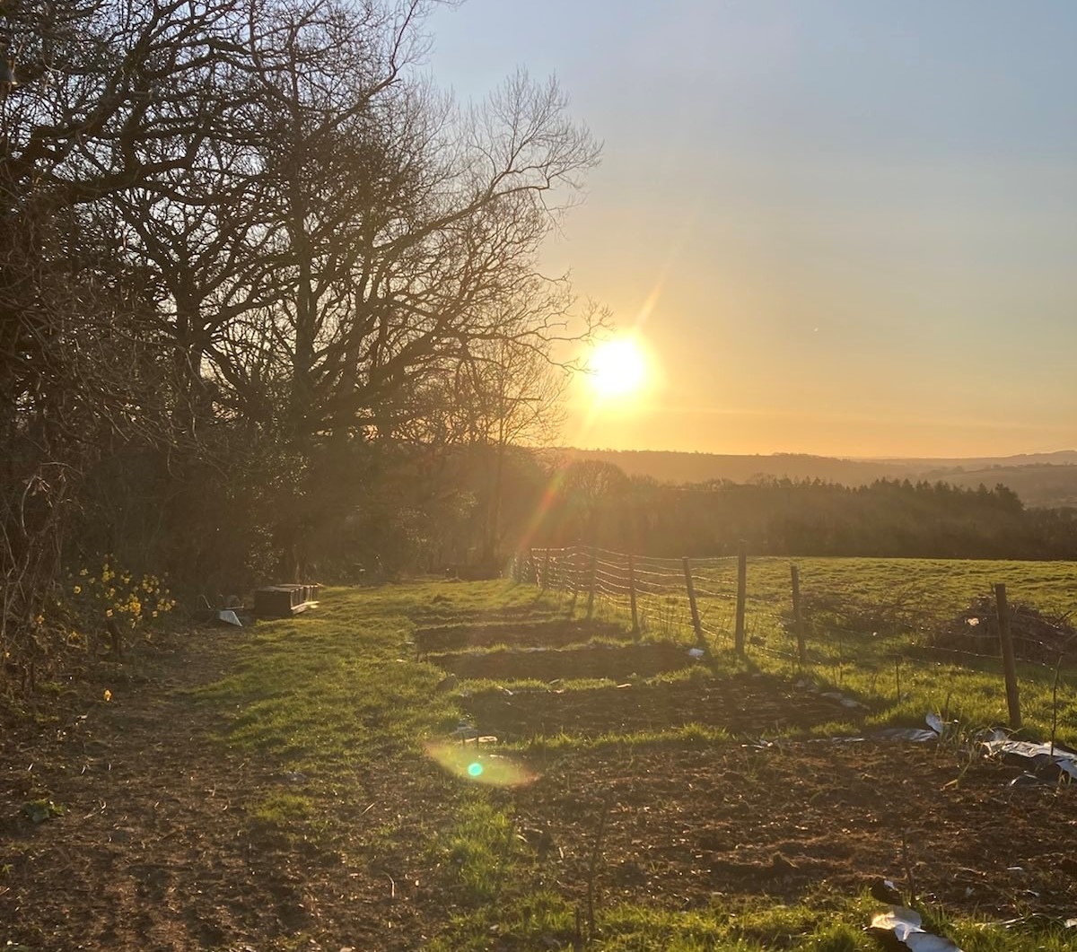 CampingCoedmor's tweet photo. @LleTyfu Beautiful Sunrise #SpringEquinox #Ostara https://t.co/ZiwRa3GNVI
