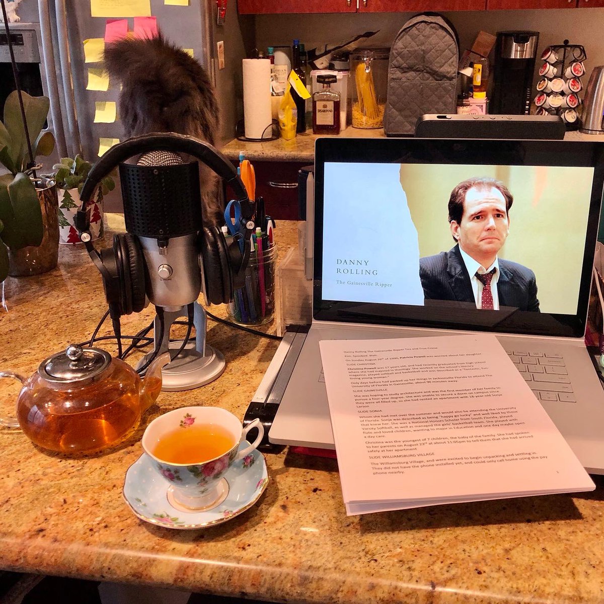 seattlescreams's tweet photo. And sometimes, when you’re trying to snap your “getting set up” picture, you’re photobombed by gratuitous cat butt.
#TeaAndTrueCrime #dannyrolling #gainesvilleripper #truecrime #serialkiller #tillythecat #spookedinseattle @SpookedinSeattl https://t.co/2S5u7ELx6I