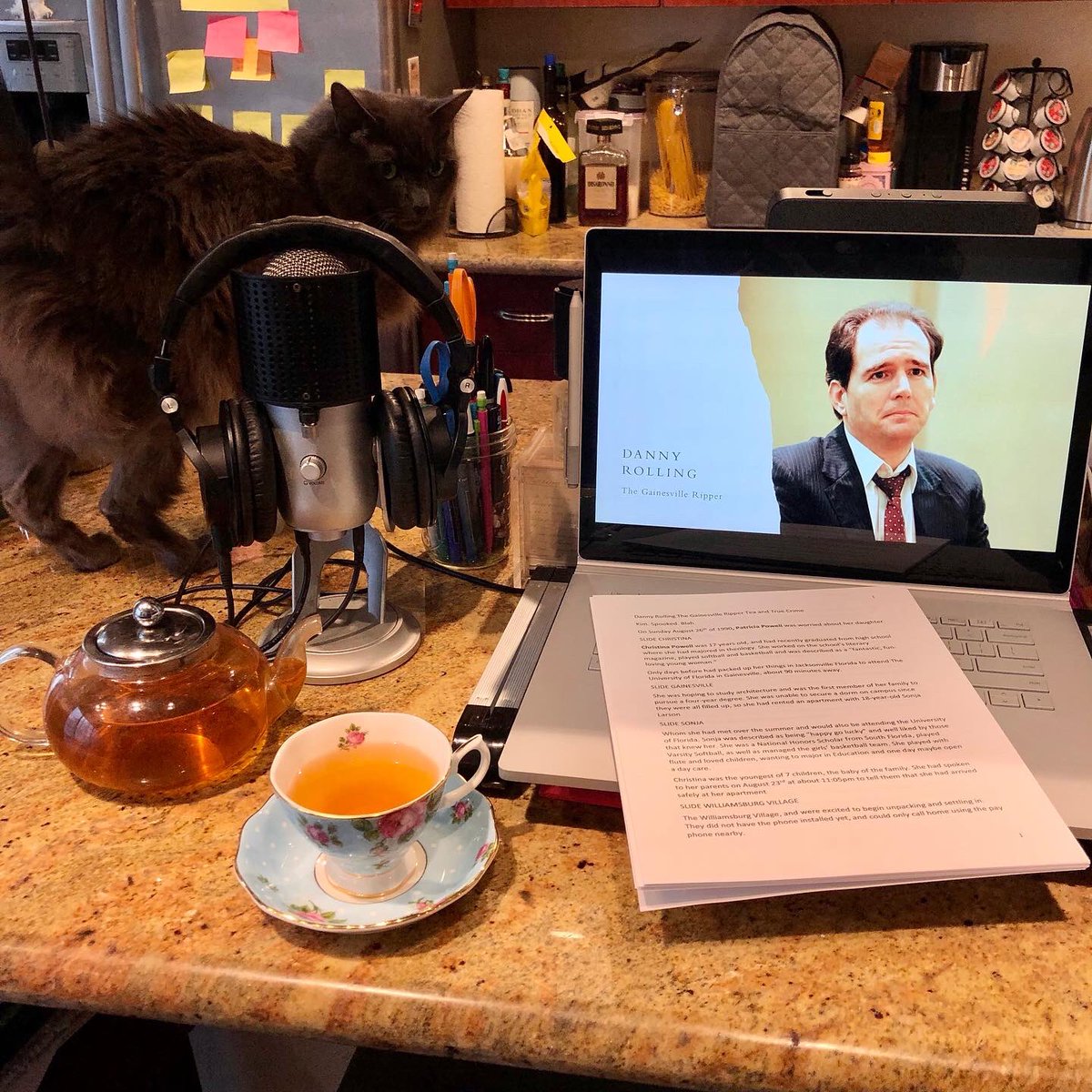 seattlescreams's tweet photo. And sometimes, when you’re trying to snap your “getting set up” picture, you’re photobombed by gratuitous cat butt.
#TeaAndTrueCrime #dannyrolling #gainesvilleripper #truecrime #serialkiller #tillythecat #spookedinseattle @SpookedinSeattl https://t.co/2S5u7ELx6I