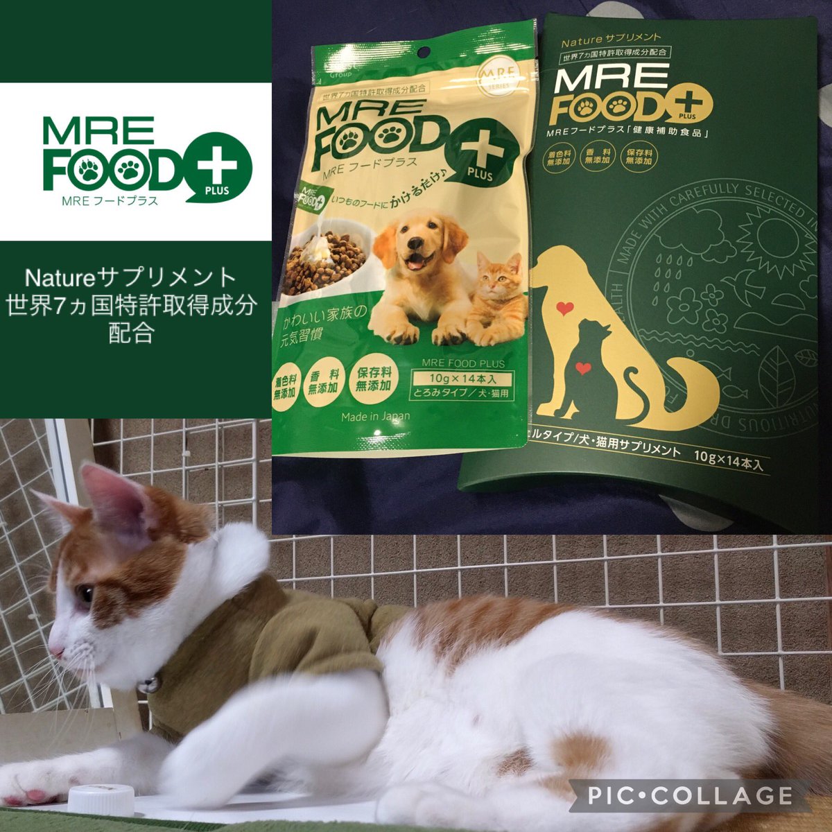 Hiropopo0615's tweet photo. â¿
ðMRE ããŒããã©ã¹ æ§ð
ïŒ @mre_foodplus ïŒ
#MREããŒããã©ã¹ äœéšã¢ãã¿ãŒã§æŽããŸããðž
äžç34ã¶åœã§ç¹èš±ãååŸããŠããçºé
µåè§£æåã#MREæåããäž»æåãšããå¥åº·è£å©é£åâš
æ©éãŠãã®ãã¢åã«
é£ã¹ãããŠã¿ãŸãð
#MREFOODPLUS #monipla #starnet_fan
#ã¡ãŒããåœï¿œï¿œã¡ã¢ https://t.co/606RfDuH0l