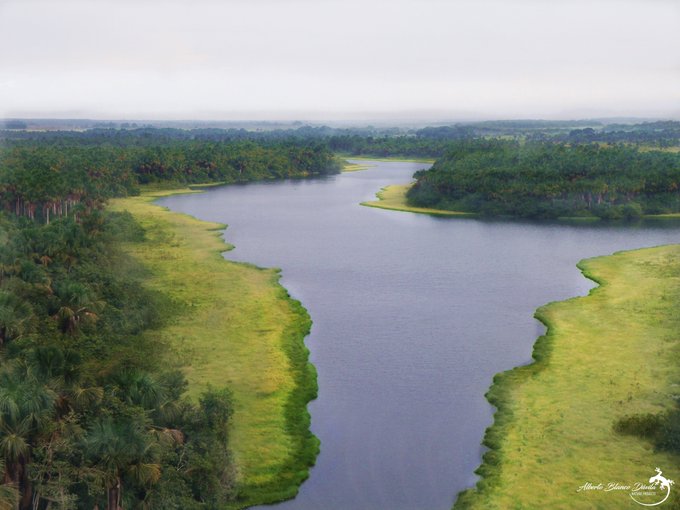 TierraVivaVzla's tweet photo. BOSQUES DE PALMARES DE MORICHES
Río Morichal Largo #Monagas #Venezuela
¿Quieres saber más al respecto? Entra en la cuenta de Instagram de #EXPLORAprojects y entérate...
https://t.co/BvVIAtTeLh
IG: @explora_projects
Foto: @Explora_ABD https://t.co/iMwMO7IPxG