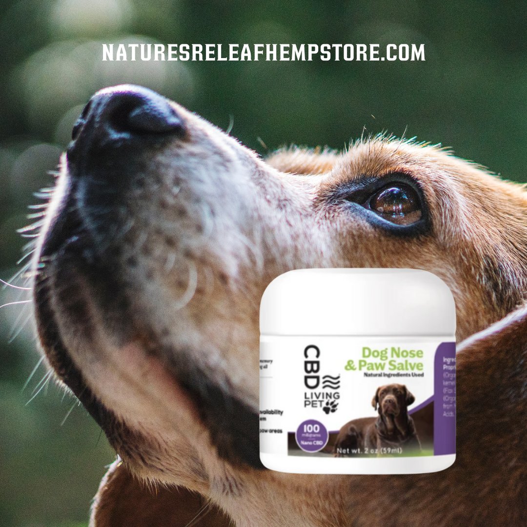 ReleafNatures's tweet photo. Go with the brand that knows noses! https://t.co/Fq82LQUhJc