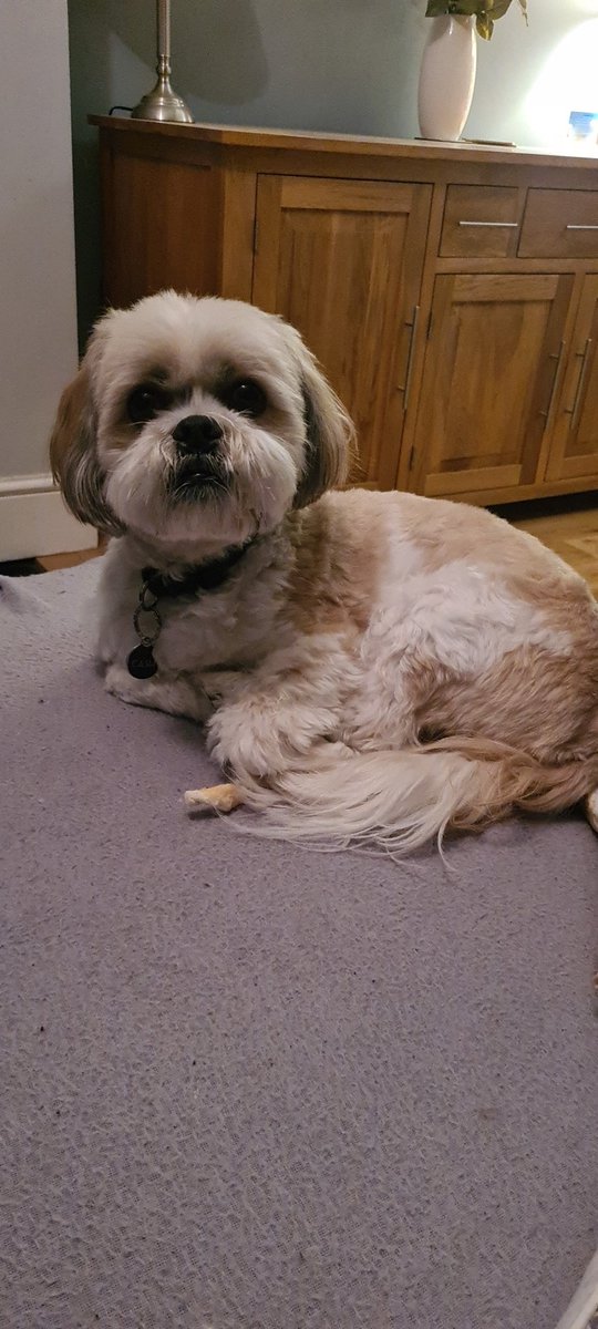 Bazarati tweet media